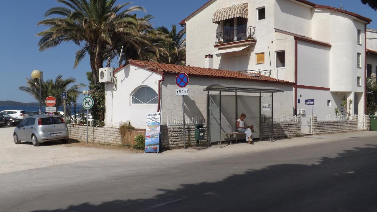 Markov * Zadar