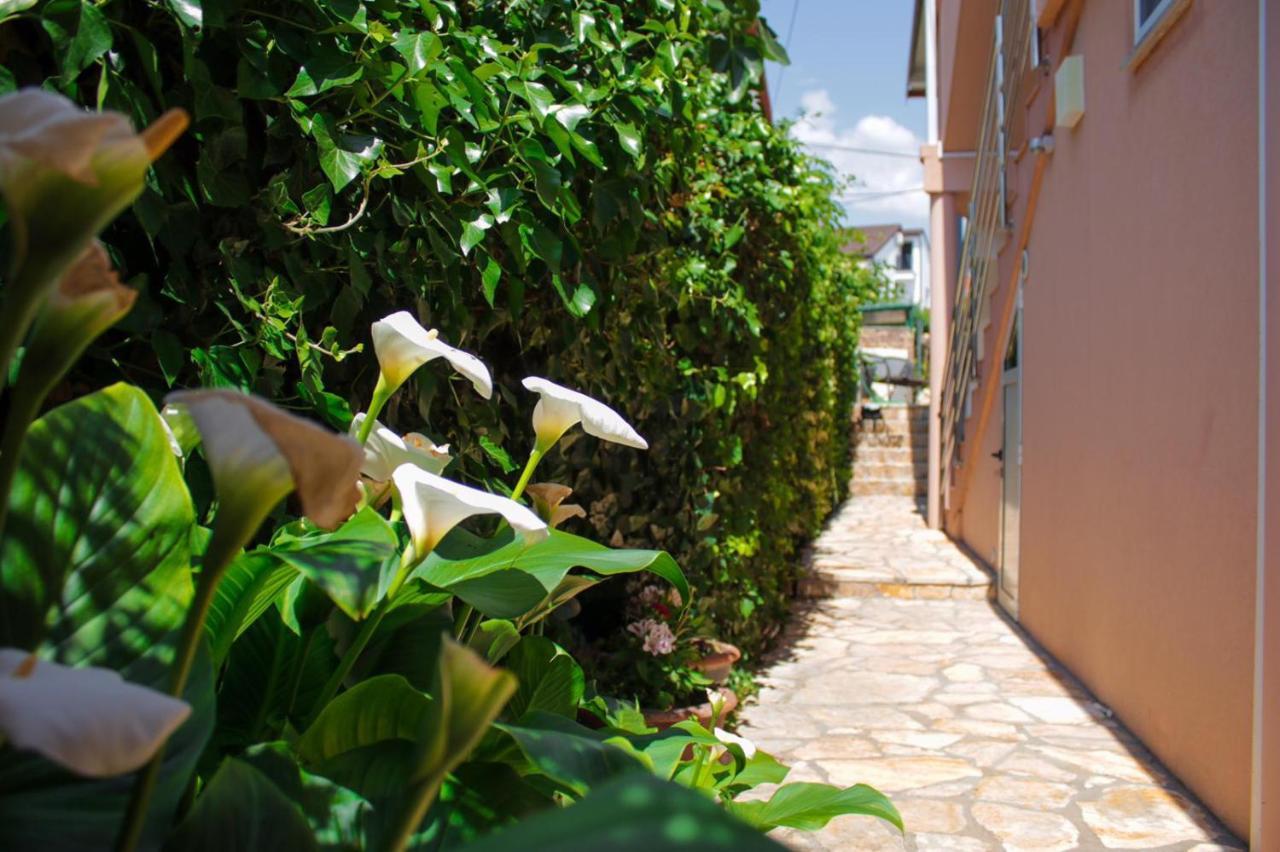 Markov Apartmán